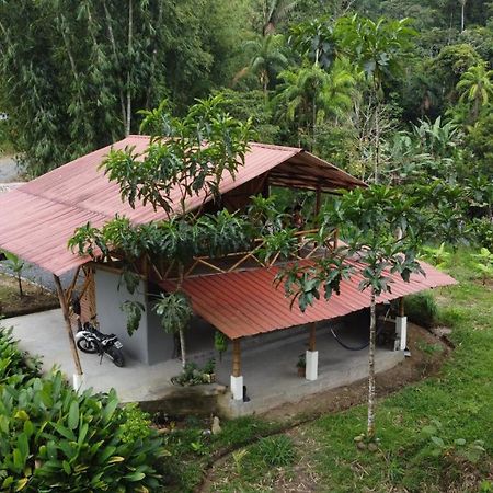 Villa Casa En Santuario Natural En La Amazonia à Veracruz  Extérieur photo