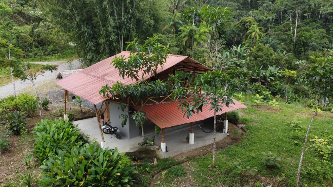 Villa Casa En Santuario Natural En La Amazonia à Veracruz  Extérieur photo