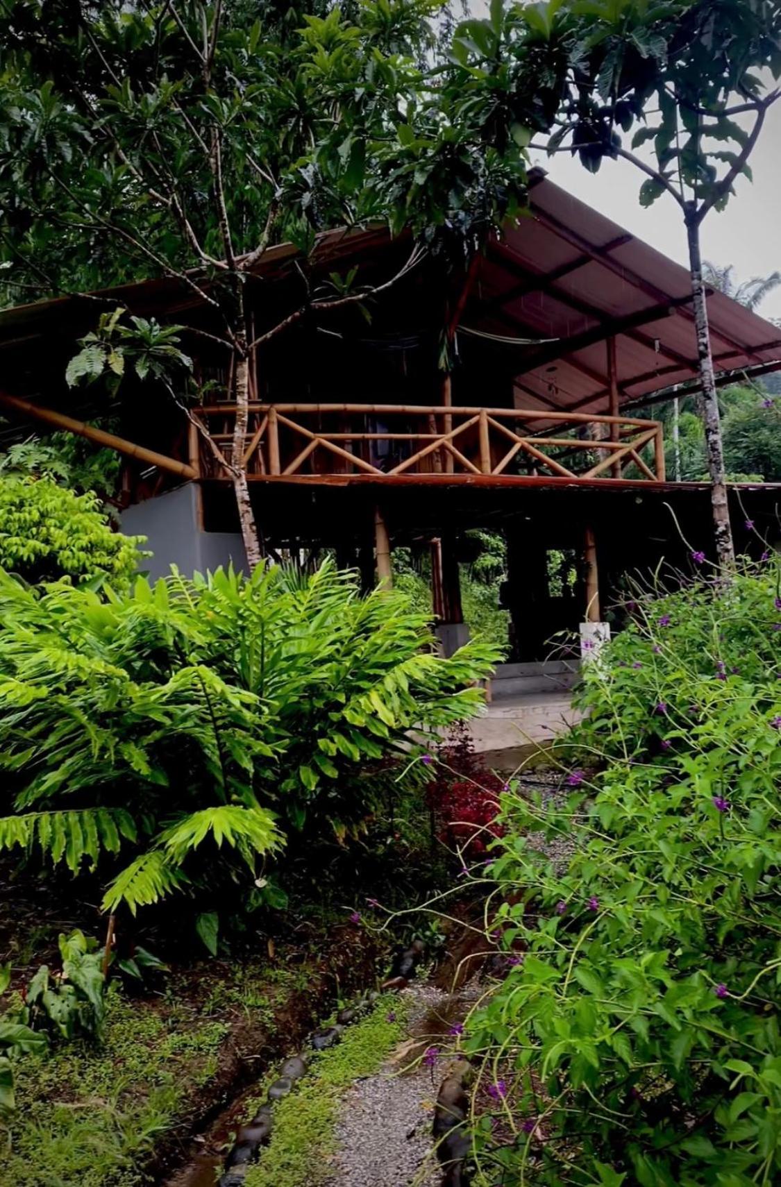 Villa Casa En Santuario Natural En La Amazonia à Veracruz  Extérieur photo