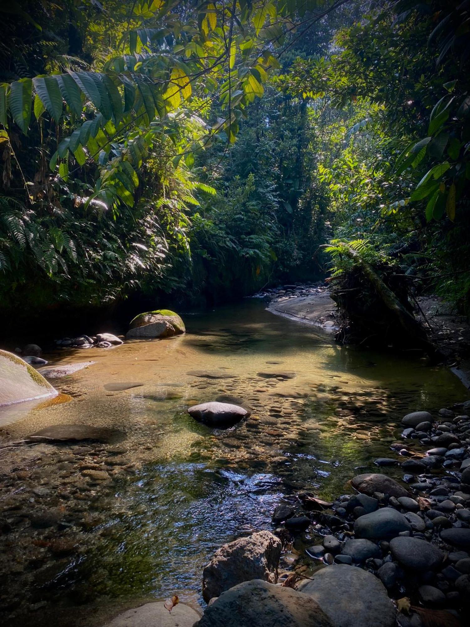 Villa Casa En Santuario Natural En La Amazonia à Veracruz  Extérieur photo